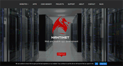 Desktop Screenshot of nantinet.com